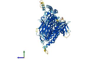 Protein Structure (PS) image for RAS Protein Activator Like 1 (GAP1 Like) (RASAL1) (AA 1-804) protein (His tag) (ABIN7551185)