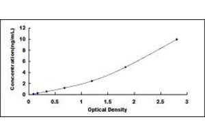 Typical standard curve (PTGS2 ELISA 试剂盒)