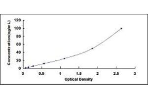 Typical standard curve (DLAT ELISA 试剂盒)