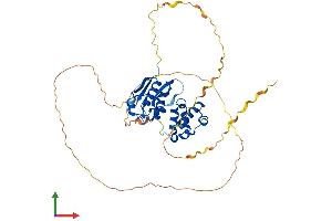 Protein Structure (PS) image for Sex Comb On Midleg-Like 4 (SCML4) (AA 1-414) protein (His tag) (ABIN7545861)