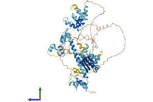 Protein Structure (PS) image for Ankyrin Repeat and Zinc Finger Domain Containing 1 (ANKZF1) (AA 1-726) protein (His tag) (ABIN7552184)