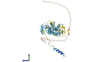 Protein Structure (PS) image for Proteasome (Prosome, Macropain) 26S Subunit, Non-ATPase, 8 (PSMD8) (AA 1-353) protein (His tag) (ABIN7560703)