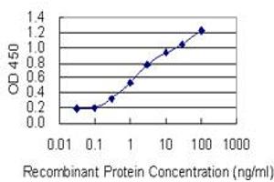Detection limit for recombinant GST tagged RAB11FIP3 is 0. (RAB11FIP3 抗体  (AA 655-754))