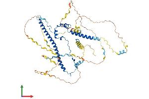 AlphaFold protein structure predicition of Human Recombinant WASF1 Protein, UniprotID Q92558