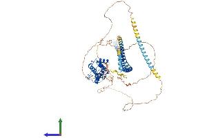 AlphaFold protein structure predicition of Mouse Recombinant Traf3ip1 Protein, UniprotID Q149C2