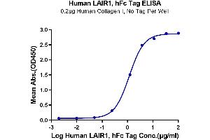 Immobilized Human Collagen I, No Tag at 2 μg/mL (50 μL/well) on the plate.