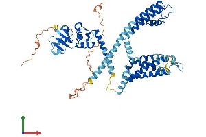 Protein Structure (PS) image for Potassium Voltage-Gated Channel, Subfamily F, Member 1 (KCNF1) (AA 1-493) protein (His tag) (ABIN7558294)