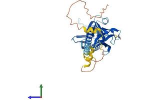 AlphaFold protein structure predicition of Mouse Recombinant Dok5 Protein, UniprotID Q91ZM9