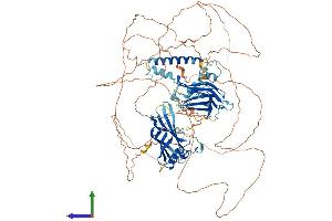 Protein Structure (PS) image for Synaptotagmin Like Protein 2 (SYTL2) (AA 1-934) protein (His tag) (ABIN7555693)
