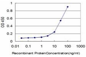 Detection limit for recombinant GST tagged CREB5 is approximately 3ng/ml as a capture antibody. (CREB5 抗体  (AA 1-99))