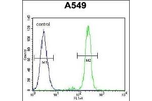 CEP70 Antibody (Center) (ABIN654603 and ABIN2844302) flow cytometric analysis of A549 cells (right histogram) compared to a negative control cell (left histogram). (CEP70 抗体  (AA 309-338))
