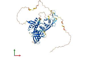 Protein Structure (PS) image for Growth Factor Receptor-Bound Protein 7 (GRB7) (AA 1-535) protein (His tag) (ABIN7563586)