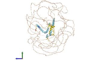 AlphaFold protein structure predicition of Human Recombinant RTN4 Protein, UniprotID Q9NQC3