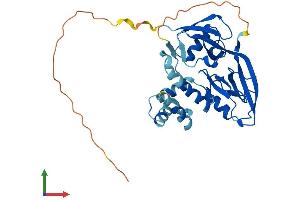 Protein Structure (PS) image for GIPC PDZ Domain Containing Family, Member 2 (GIPC2) (AA 1-314) protein (His tag) (ABIN7556434)