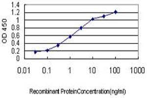 Detection limit for recombinant GST tagged HOXB1 is approximately 0. (HOXB1 抗体  (AA 1-74))