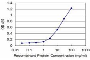 Detection limit for recombinant GST tagged IRAK4 is approximately 1ng/ml as a capture antibody. (IRAK4 抗体  (AA 255-351))