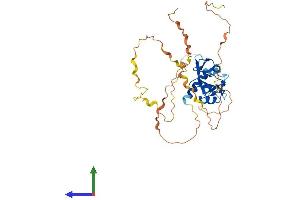 Protein Structure (PS) image for SH2 Domain Protein 2A (SH2D2A) (AA 1-389) protein (His tag) (ABIN7545998)