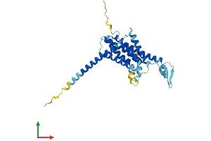 Protein Structure (PS) image for Fat Storage-Inducing Transmembrane Protein 1 (FITM1) (AA 1-292) protein (His tag) (ABIN7547664)