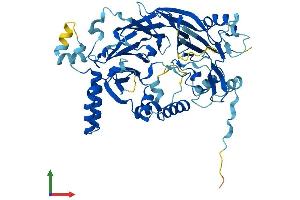 Protein Structure (PS) image for DET1 (DET1) (AA 1-550) protein (His tag) (ABIN7560822)