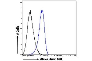 Flow Cytometry (FACS) image for anti-Signal Transducing Adaptor Molecule (SH3 Domain and ITAM Motif) 2 (STAM2) (Internal Region) antibody (ABIN185613)