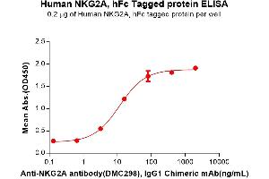 Killer Cell Lectin-Like Receptor Subfamily C, Member 1 (KLRC1) protein (Fc Tag)
