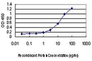 Detection limit for recombinant GST tagged TFAP2A is approximately 1ng/ml as a capture antibody.