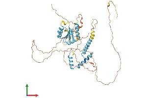 Protein Structure (PS) image for Spermatogenesis and Oogenesis Specific Basic Helix-Loop-Helix 2 (SOHLH2) (AA 1-467) protein (His tag) (ABIN7560976)