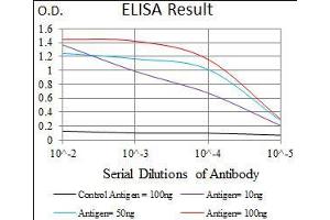 Black line: Control Antigen (100 ng), Purple line: Antigen(10 ng), Blue line: Antigen (50 ng), Red line: Antigen (100 ng), (ALDH2 抗体  (AA 317-517))
