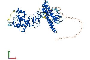 Protein Structure (PS) image for protein ariadne-2 homolog (ARIH2) (AA 1-492) protein (His tag) (ABIN7556384)