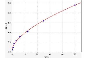 Typical standard curve