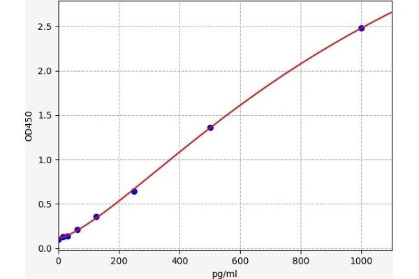 Peptide YY, 2 (Pseudogene) (PYY2) ELISA 试剂盒