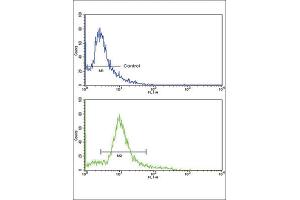 Flow Cytometry (FACS) image for anti-3-Hydroxy-3-Methylglutaryl-CoA Synthase 1 (Soluble) (HMGCS1) antibody (ABIN3002731) (HMGCS1 抗体)