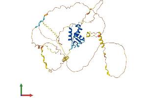 Protein Structure (PS) image for Forkhead Box D1 (FOXD1) (AA 1-465) protein (His tag) (ABIN7547831)