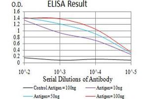 Black line: Control Antigen (100 ng), Purple line: Antigen(10 ng), Blue line: Antigen (50 ng), Red line: Antigen (100 ng), (ATG13 抗体  (AA 339-550))