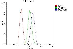 Flow Cytometry analysis of U87 cells using anti-RAB27A antibody (ABIN7602714).