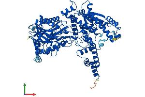 Protein Structure (PS) image for NAD Synthetase 1 (NADSYN1) (AA 1-706) protein (His tag) (ABIN7549644)