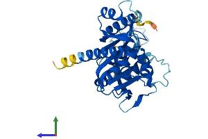 Protein Structure (PS) image for Nucleotide Binding Protein 1 (NUBP1) (AA 1-320) protein (His tag) (ABIN7549910)