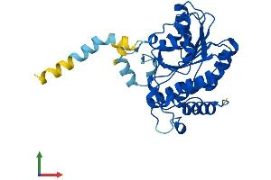 AlphaFold protein structure predicition of Human Recombinant RDH11 Protein, UniprotID Q8TC12