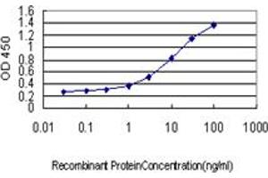Detection limit for recombinant GST tagged BAG1 is approximately 0. (BAG1 抗体  (AA 241-345))