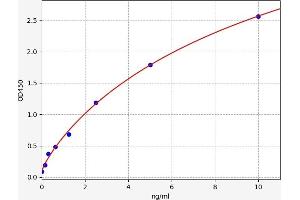 Typical standard curve (ANKRD30A ELISA 试剂盒)