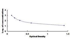 ELISA image for Fibroblast Growth Factor 5 (FGF5) ELISA Kit (ABIN418593)
