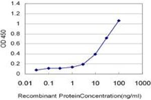 Detection limit for recombinant GST tagged ZNF92 is approximately 0. (ZNF92 抗体  (AA 490-586))