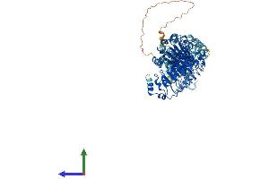 AlphaFold protein structure predicition of Human Recombinant LRRC8A Protein, UniprotID Q8IWT6