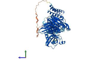 Protein Structure (PS) image for Calpain 7 (CAPN7) (AA 1-813) protein (His tag) (ABIN7552961)