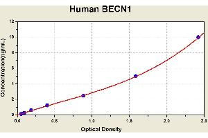 Diagramm of the ELISA kit to detect Human BECN1with the optical density on the x-axis and the concentration on the y-axis.