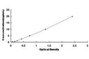 ELISA image for Solute Carrier Family 1 (Glutamate Transporter), Member 7 (SLC1A7) ELISA Kit (ABIN422125)