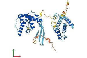 AlphaFold protein structure predicition of Human Recombinant PARVG Protein, UniprotID Q9HBI0