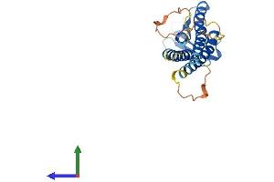 Protein Structure (PS) image for Claudin 12 (CLDN12) (AA 1-244) protein (His tag) (ABIN7553448)