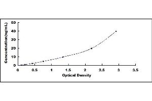 Typical standard curve (CYP2C18 ELISA 试剂盒)