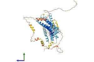 AlphaFold protein structure predicition of Mouse Recombinant Tmem184c Protein, UniprotID Q3TPR7